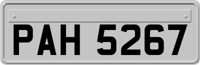 PAH5267