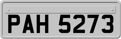 PAH5273