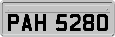 PAH5280