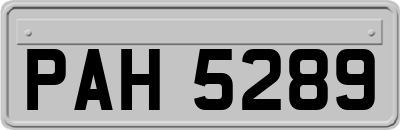PAH5289