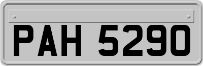 PAH5290