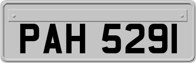 PAH5291