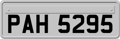 PAH5295