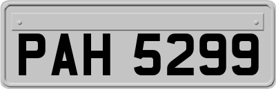 PAH5299