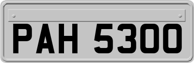PAH5300