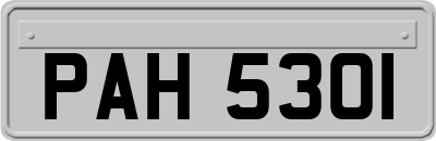PAH5301