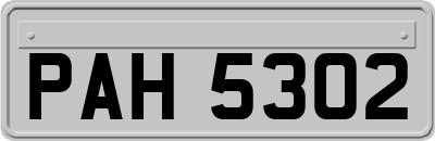 PAH5302