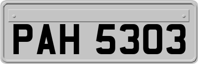 PAH5303