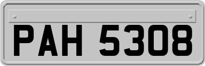PAH5308