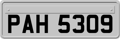 PAH5309