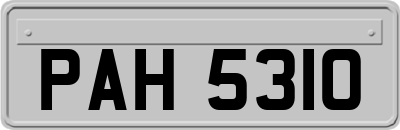 PAH5310