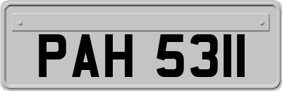 PAH5311