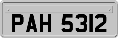 PAH5312