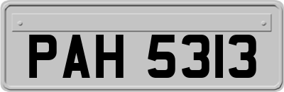 PAH5313