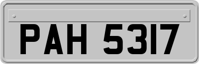 PAH5317