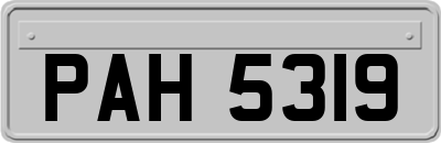 PAH5319