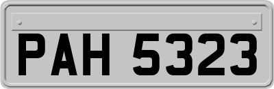 PAH5323