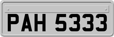 PAH5333