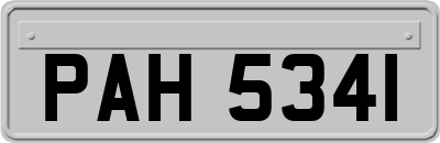 PAH5341