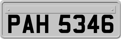 PAH5346