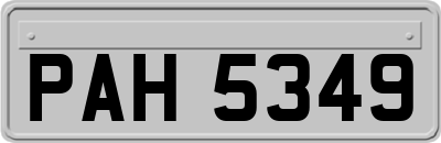 PAH5349