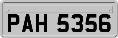 PAH5356