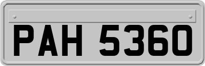 PAH5360