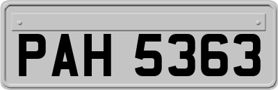 PAH5363