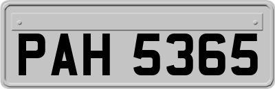PAH5365