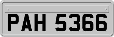 PAH5366
