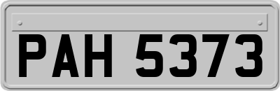 PAH5373