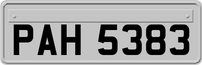 PAH5383