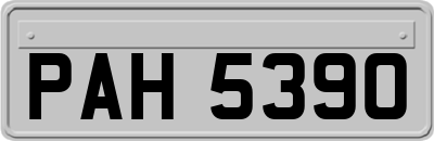 PAH5390