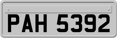 PAH5392