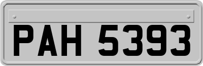 PAH5393