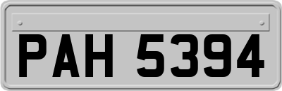 PAH5394