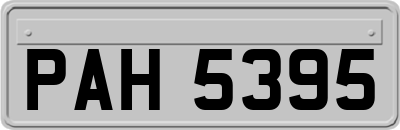 PAH5395