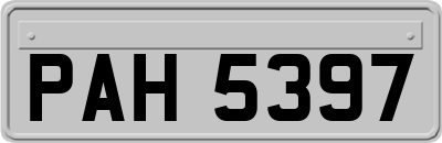 PAH5397