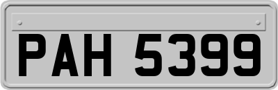 PAH5399