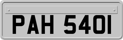 PAH5401