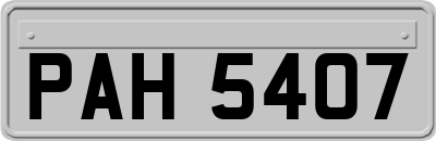 PAH5407