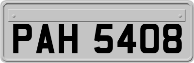 PAH5408