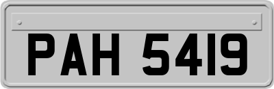 PAH5419