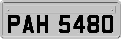 PAH5480