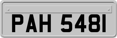 PAH5481
