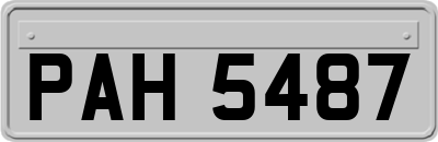 PAH5487