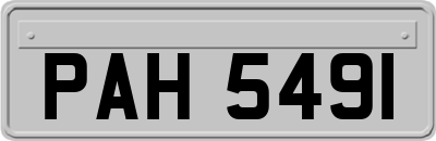 PAH5491