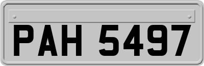 PAH5497