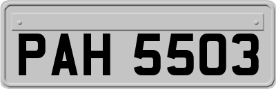 PAH5503
