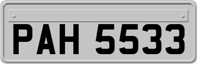 PAH5533